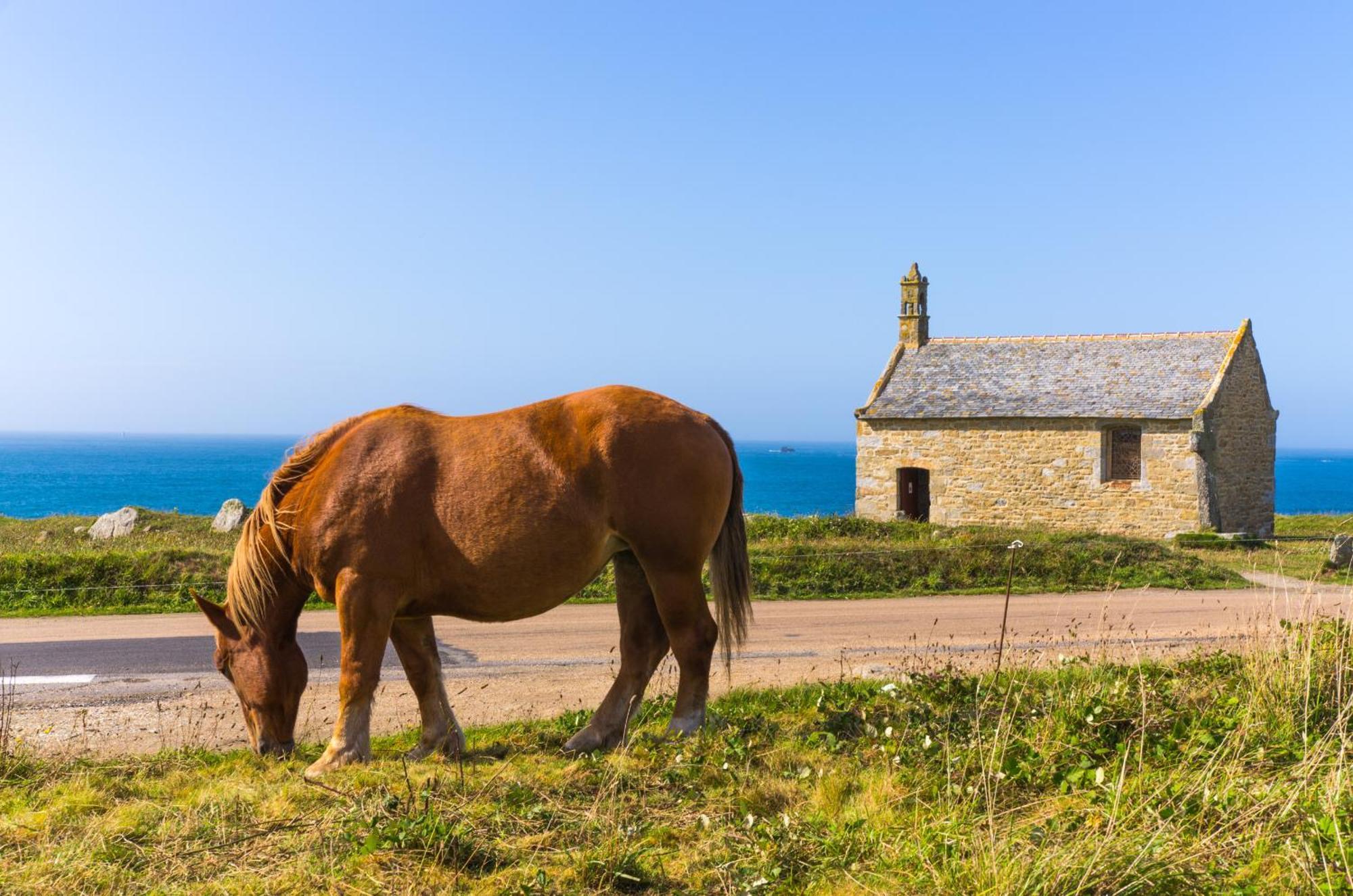 Ker Stivell - Superbe Maison Neuve A 2 Pas De La Mer Landunvez Εξωτερικό φωτογραφία